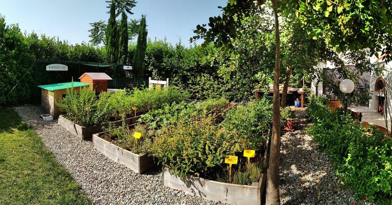 Masseria Urbana Crispiano エクステリア 写真